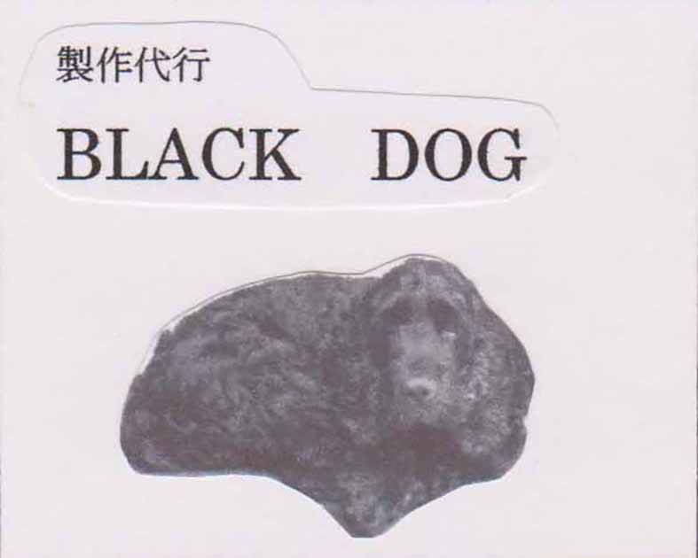 BLACK  DOG