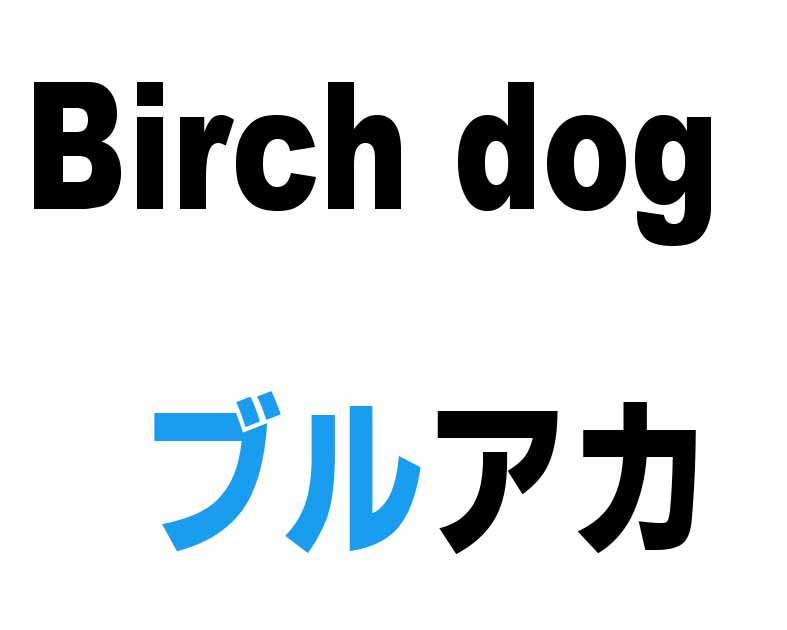Birch Dog