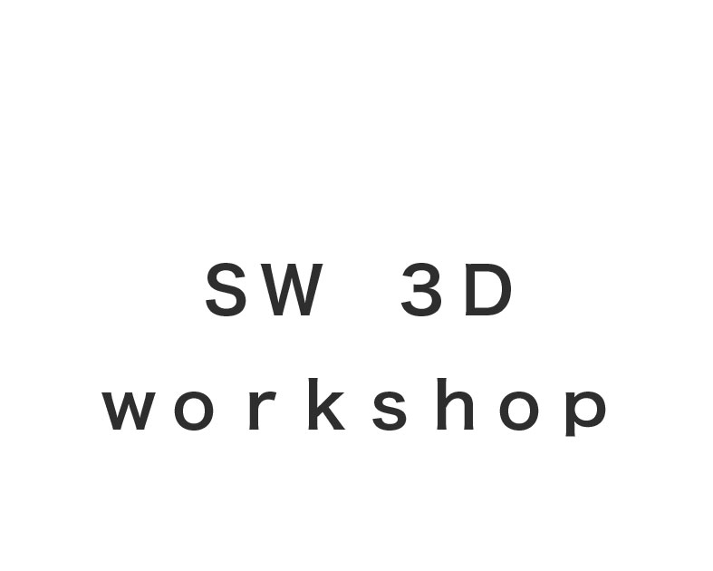 ＳＷ　３Ｄ　ｗｏｒｋｓｈｏｐ