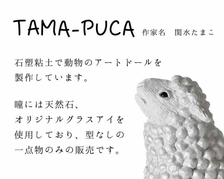 TAMA-PUCA