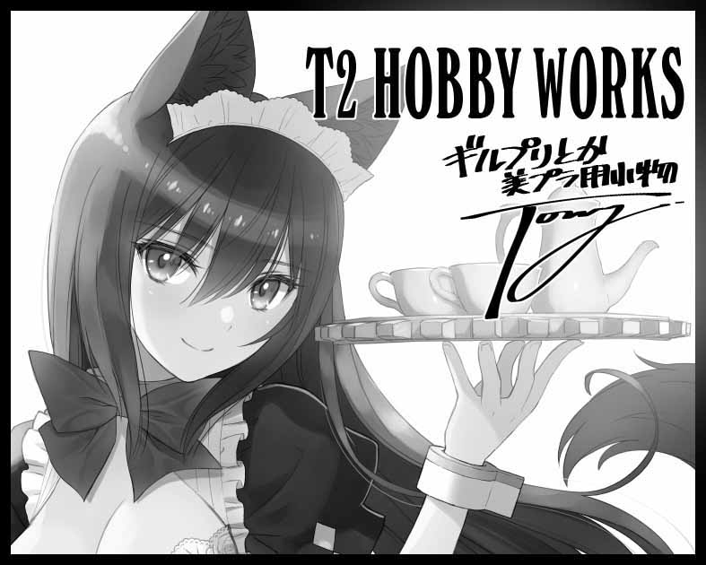 T2 HOBBY WORKS