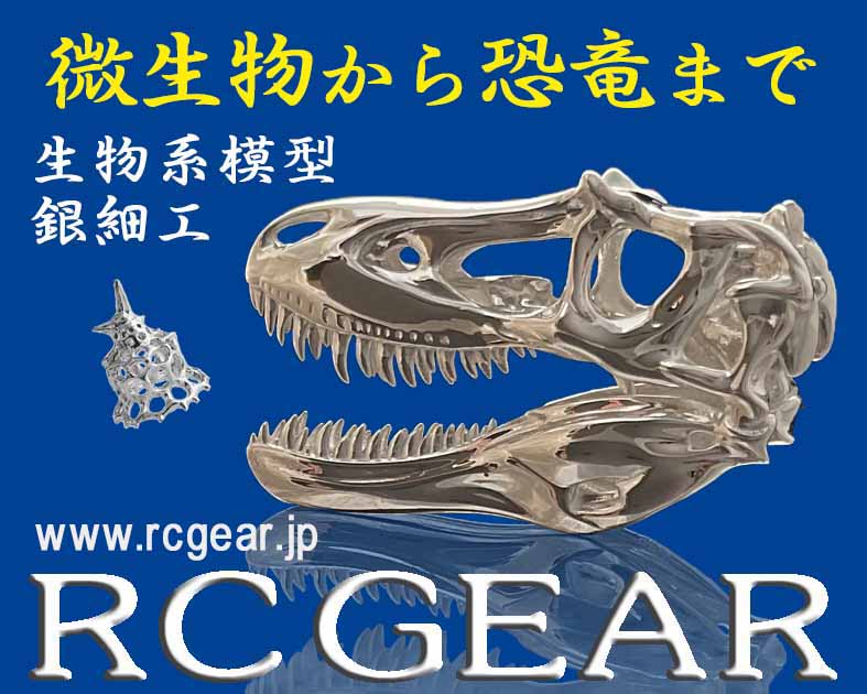 RC GEAR