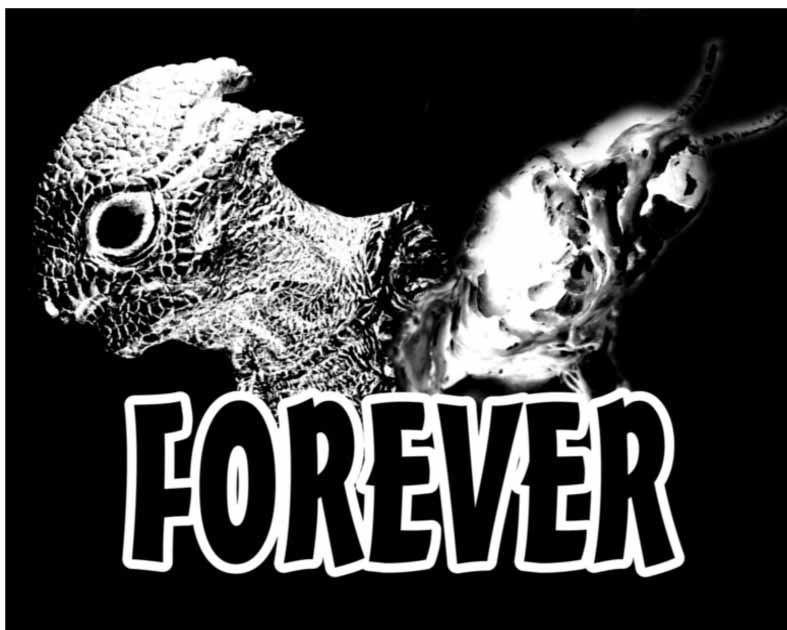 Forever