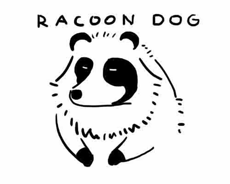 RacoonDog