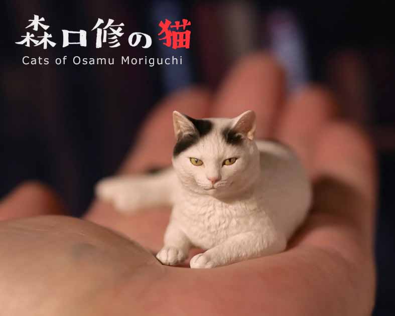 森口修の猫