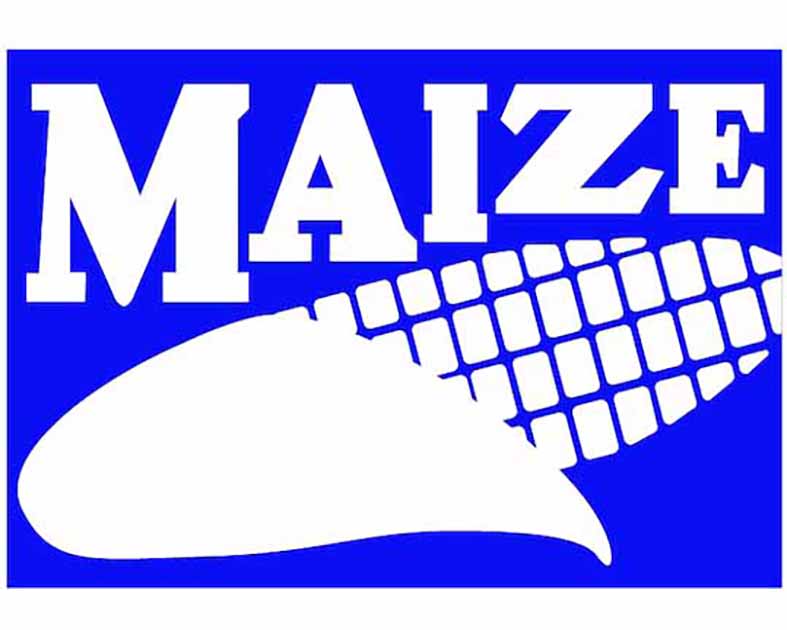 MAIZE JAPAN