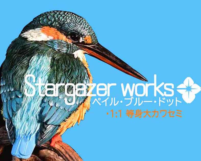 stargazerwork