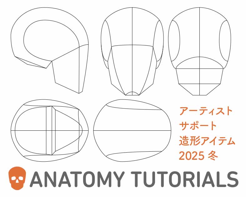 ANATOMY TUTORIALS