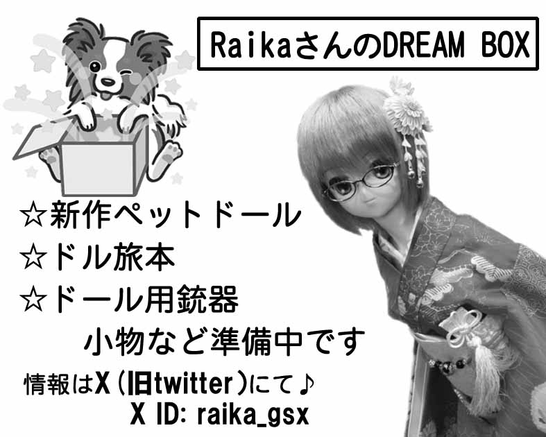 RaikaさんのDREAM BOX