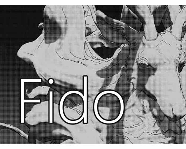 Fido