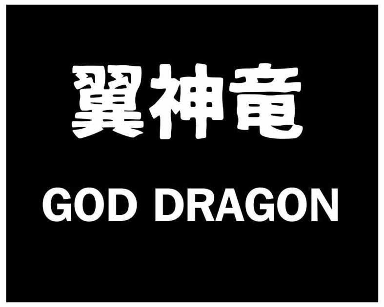翼神竜