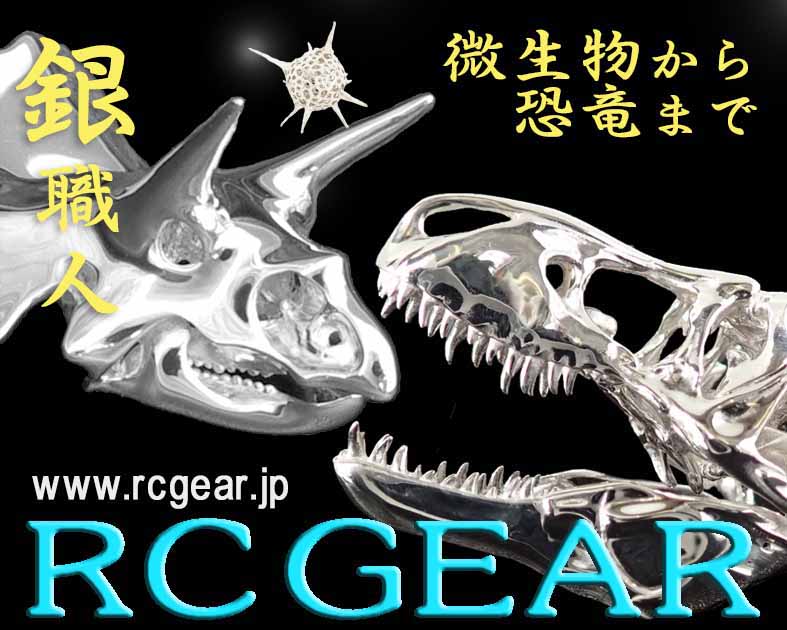 RC GEAR