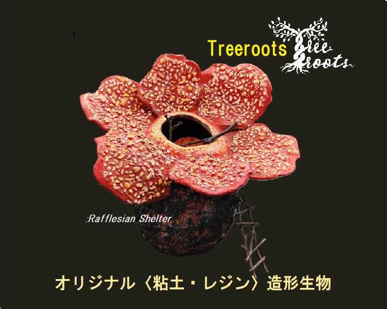 Tｒｅｅｒｏｏｔｓ