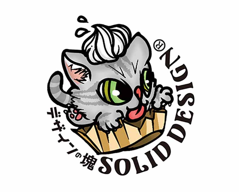 SOLID DESIGN