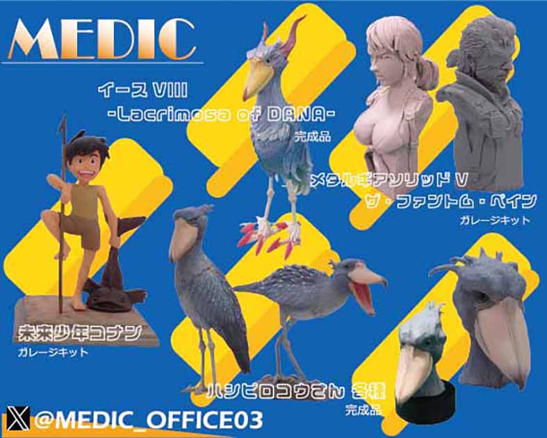 MEDIC