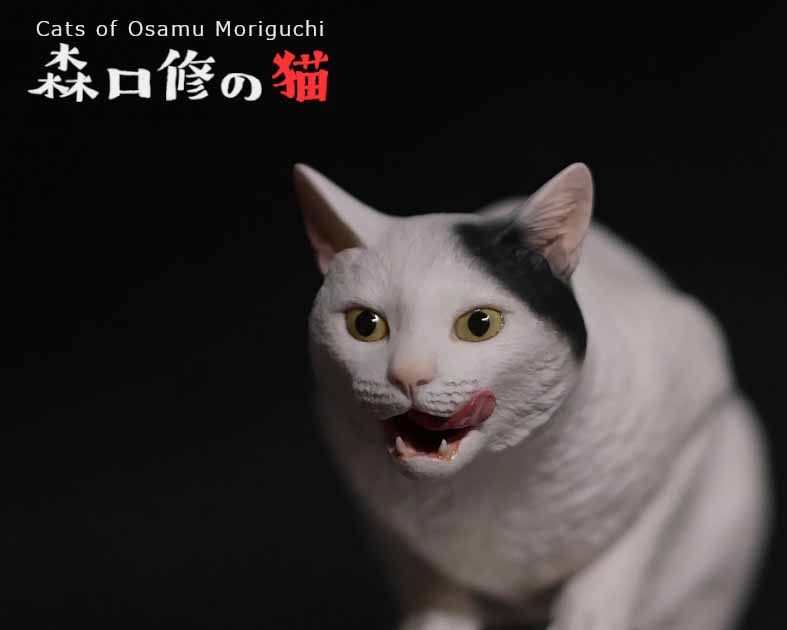 森口修の猫