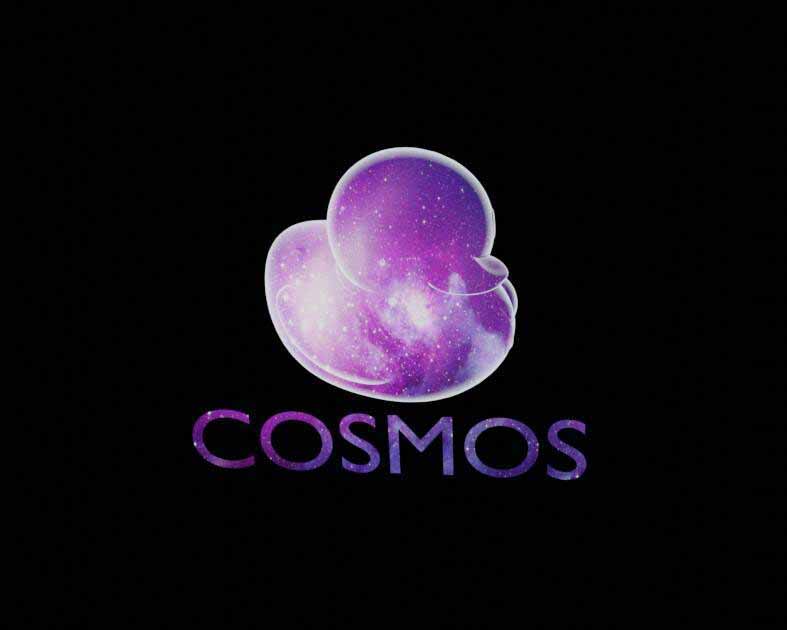 COSMOSアヒル羽