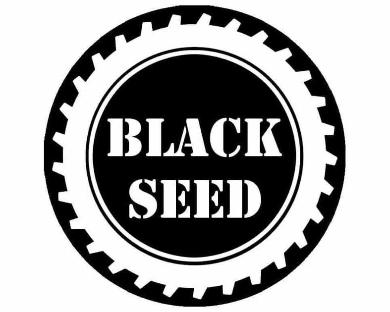 Black Seed Toys