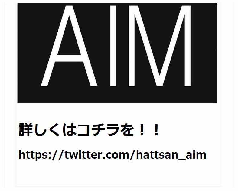 ＡＩＭ