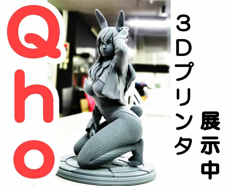 Q-ho