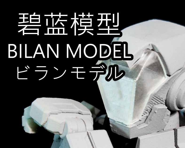 Bilan Model