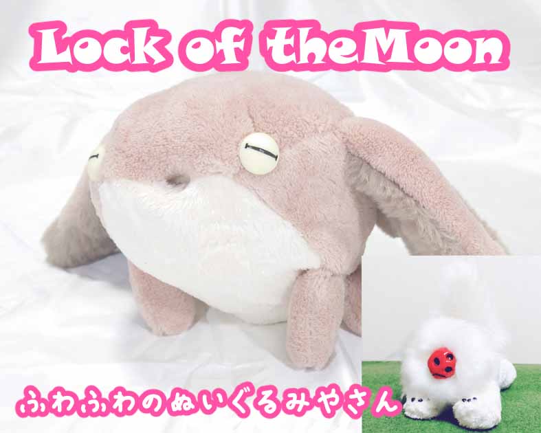 LOCK OF THE MOON