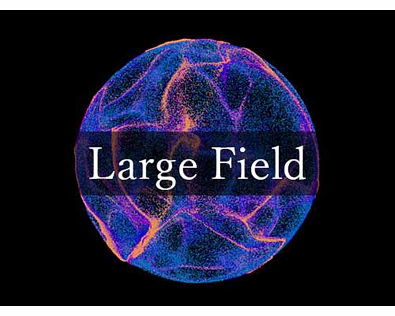 Large Field