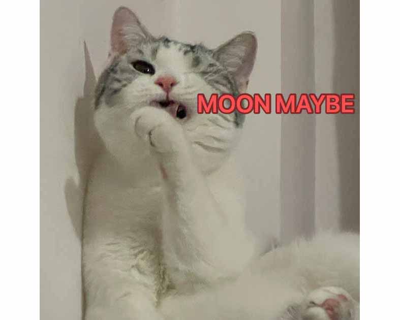 MOON MAYBE
