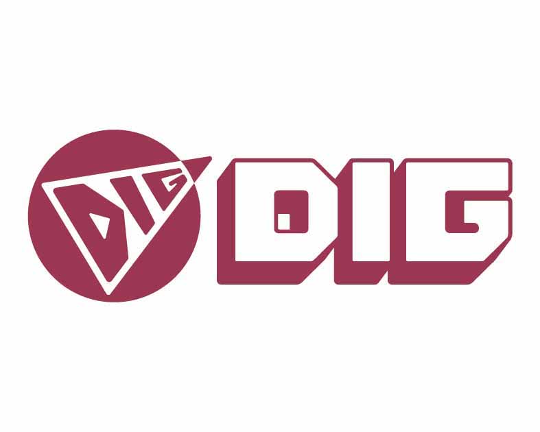 株式会社DIG