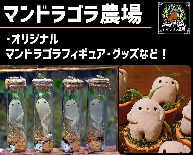 マンドラゴラ農場