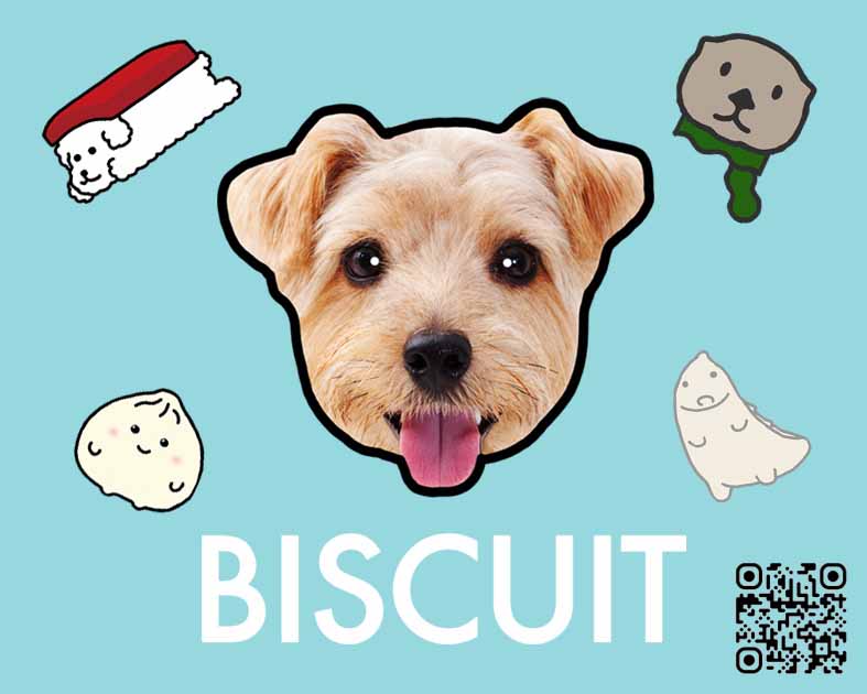 BISCUIT