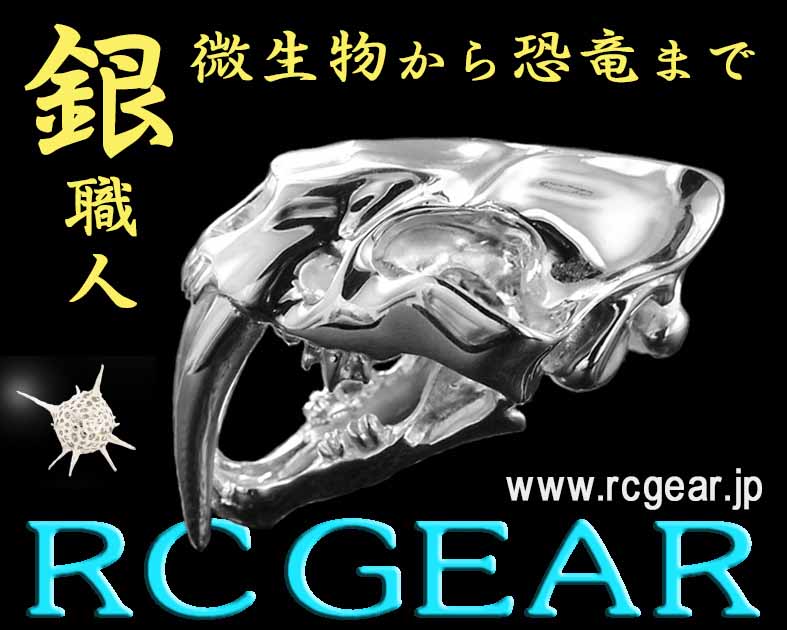 RC GEAR
