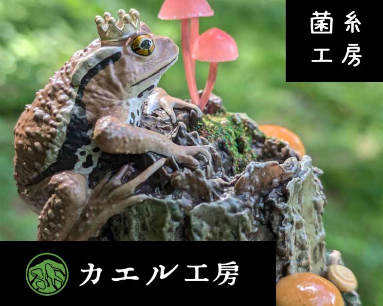 菌糸工房＋カエル工房