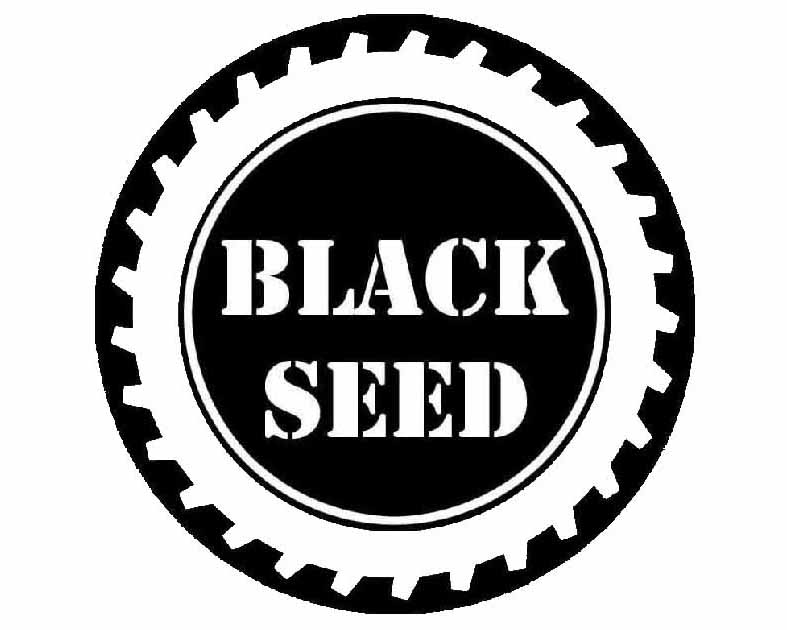 Black Seed Toys