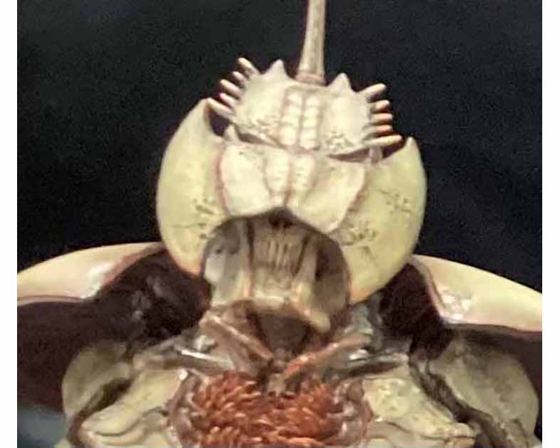 チーム・チーター：Ｌｖ２