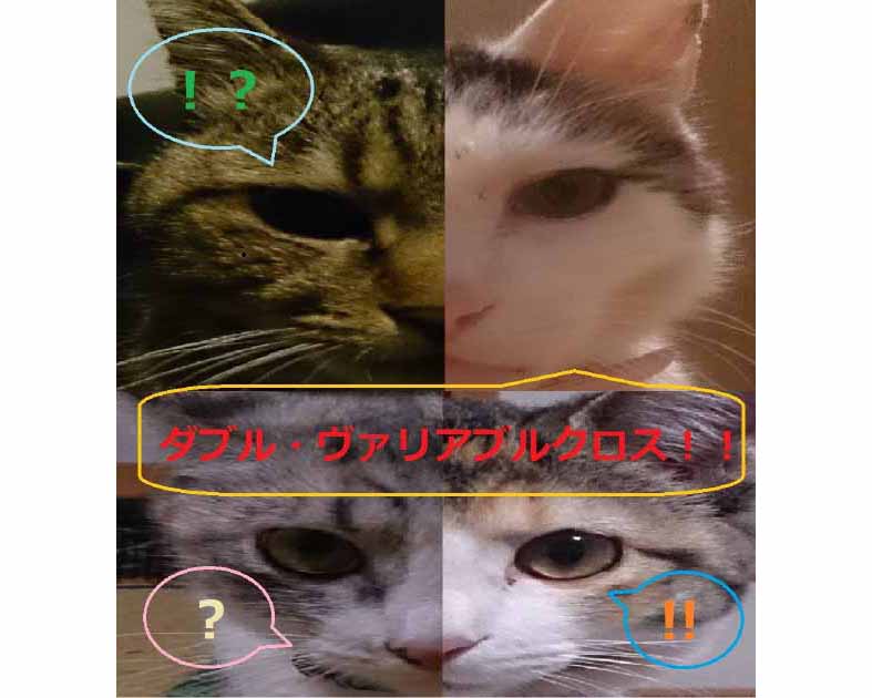 へなちょこぱんち