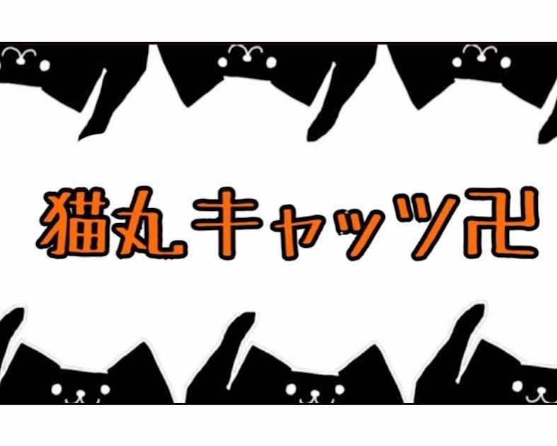 猫丸キャッツ