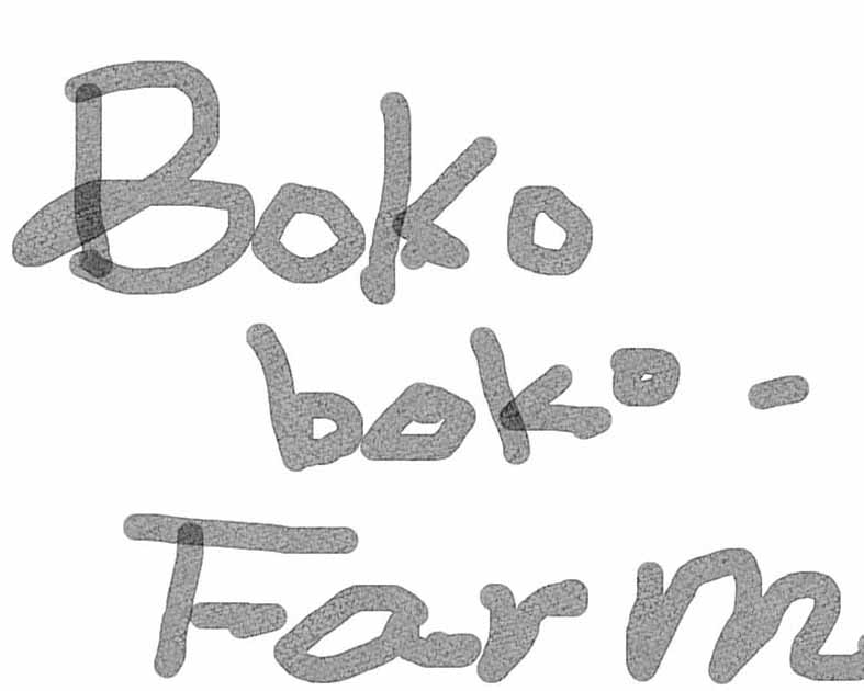 Bokoboko-Farm