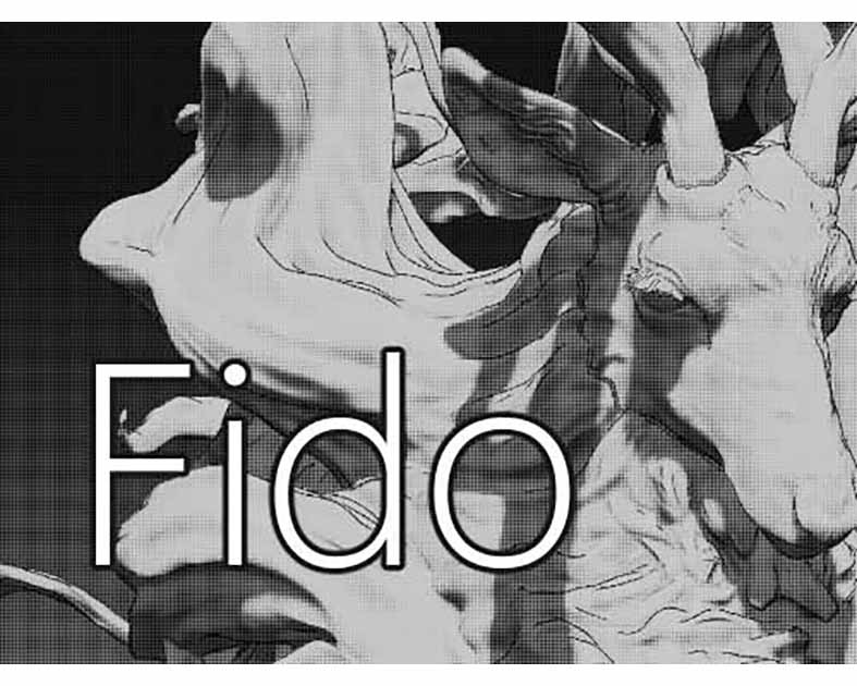 Fido