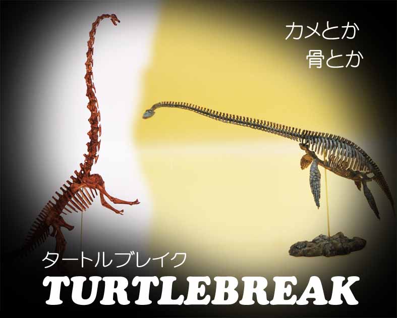 タートルブレイク