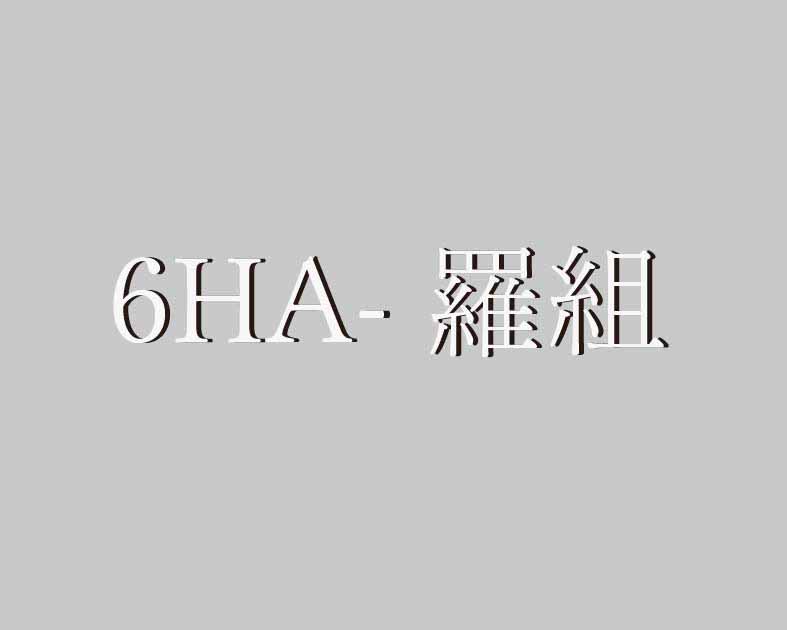 6HA-羅