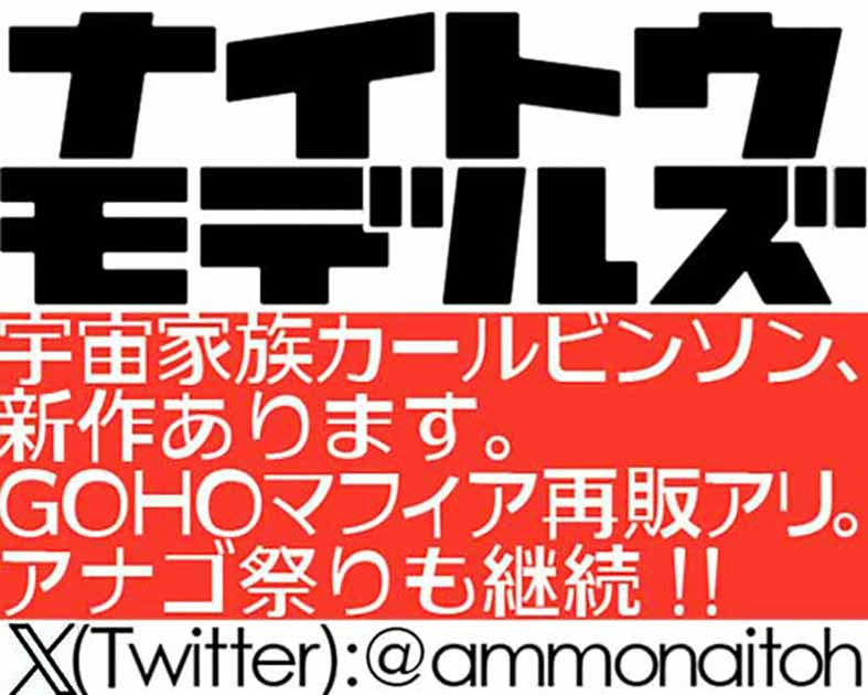 ナイトウモデルズ