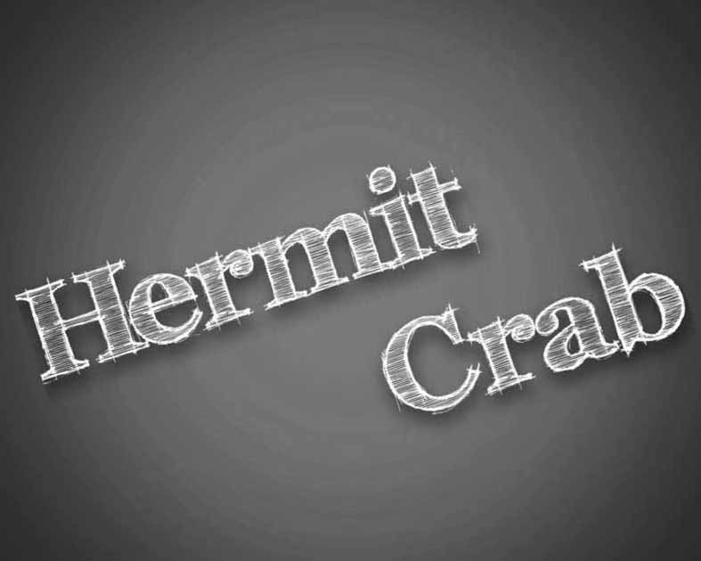Hermit Crab