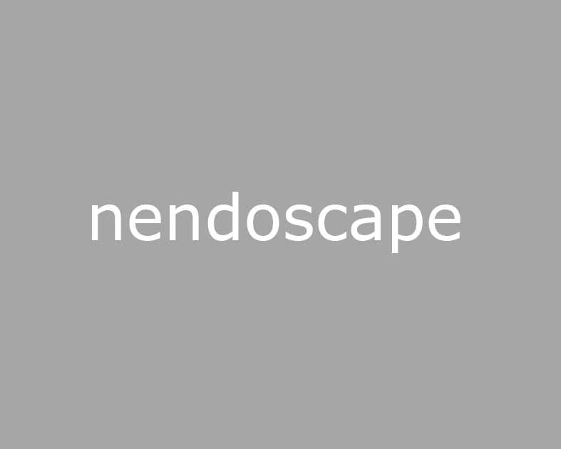 nendoscape