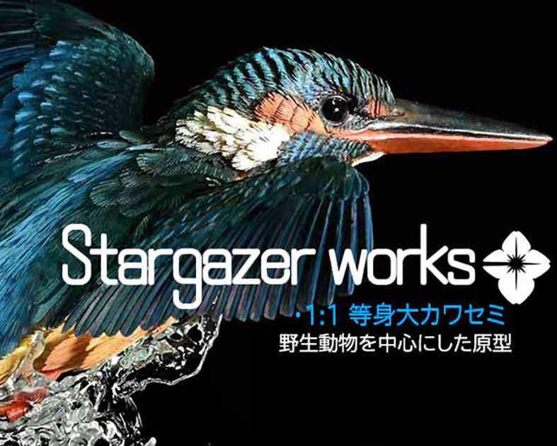 stargazerwork