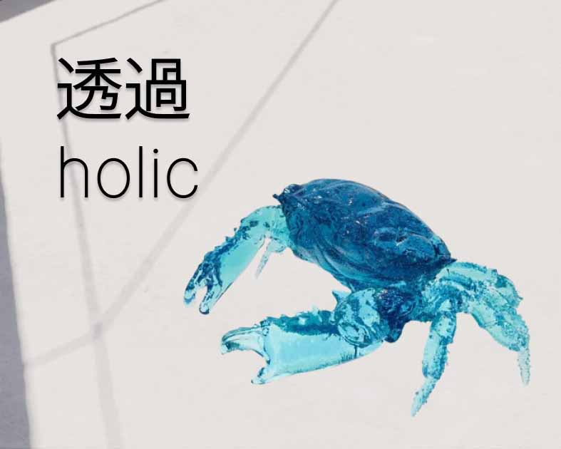 透過holic