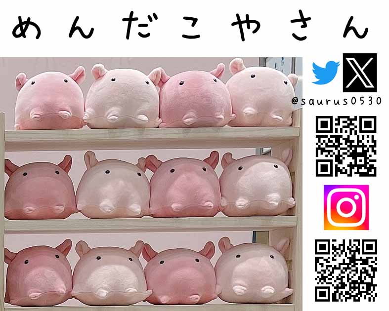 めんだこやさん