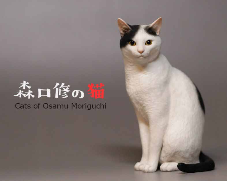 森口修の猫