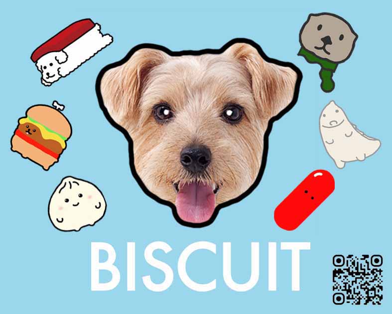 BISCUIT
