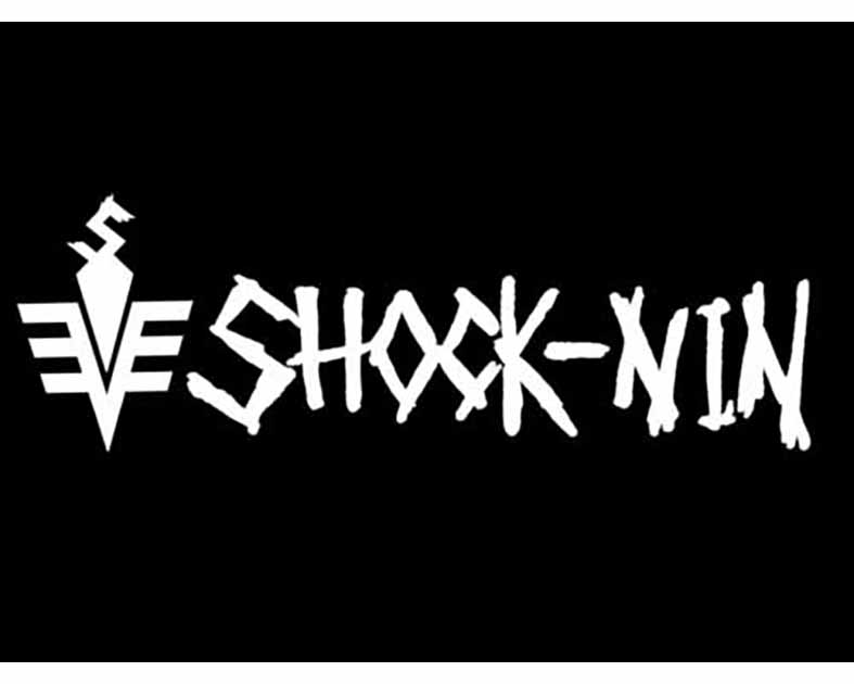 SHOCK-NIN TOYS